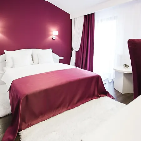 招待所 Gorgeous 克卢日-纳波卡