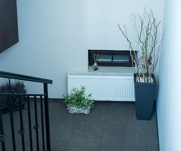 Pensión Gorgeous Cluj-Napoca